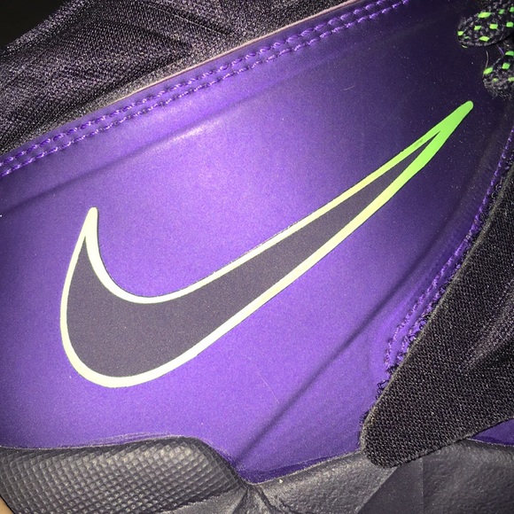 Lebrons - Picture 4 of 5